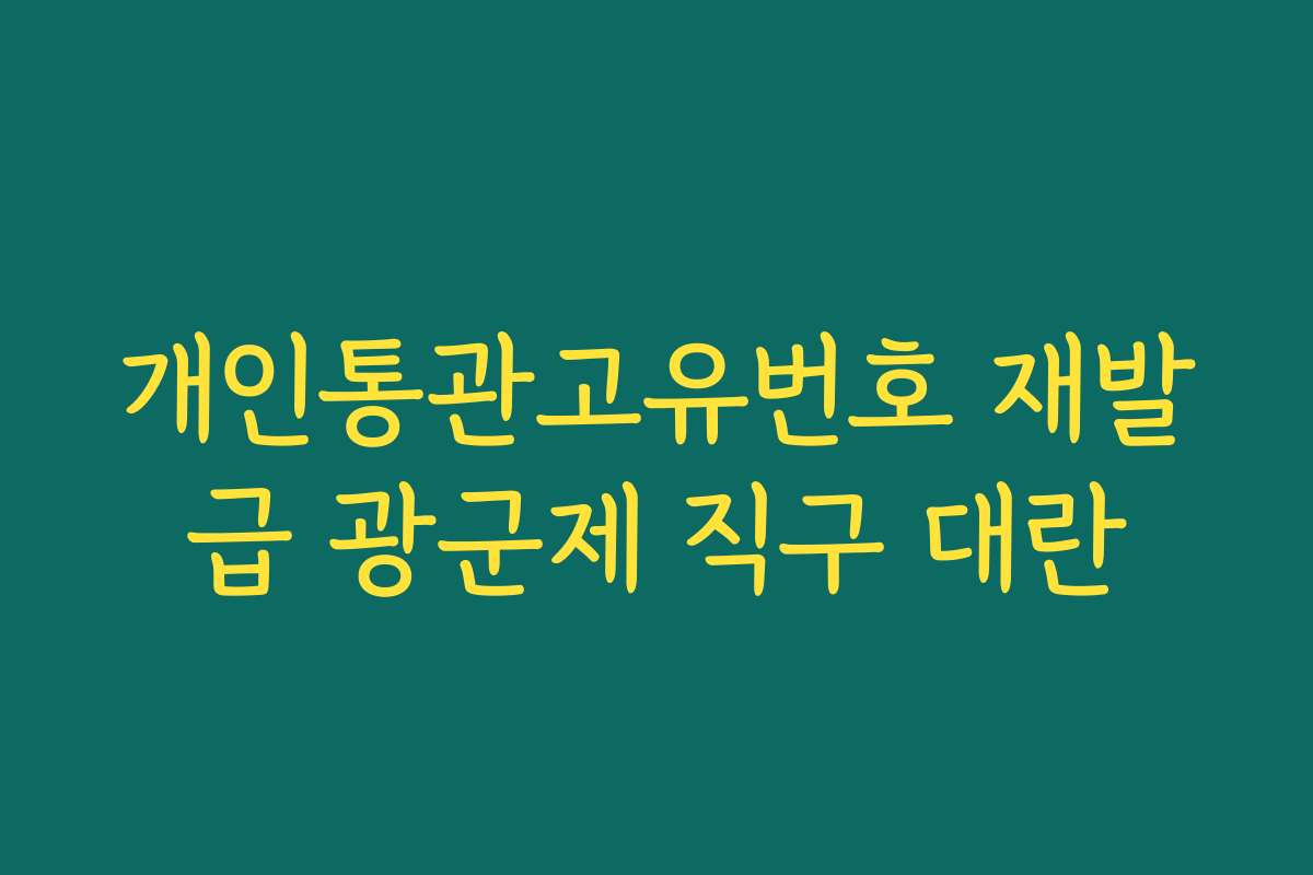 개인통관고유번호 재발급 광군제 직구 대란