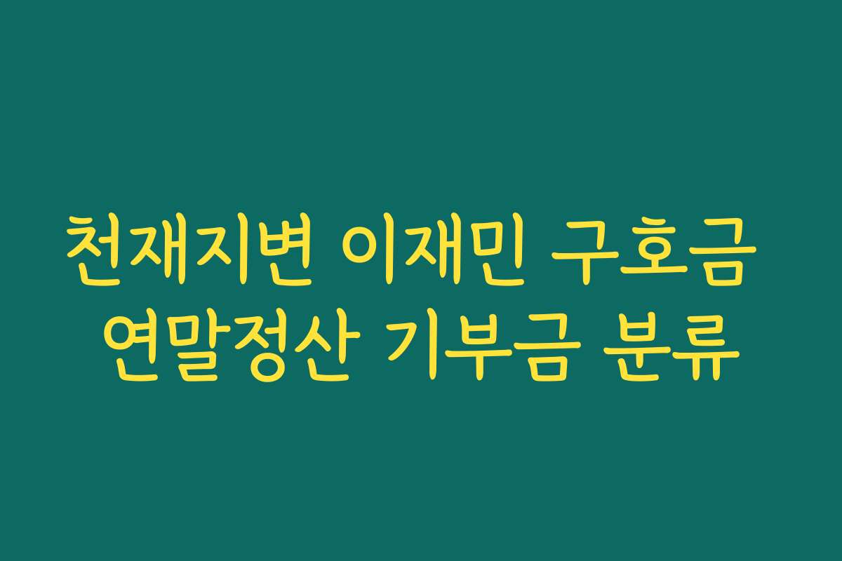 천재지변 이재민 구호금 연말정산 기부금 분류