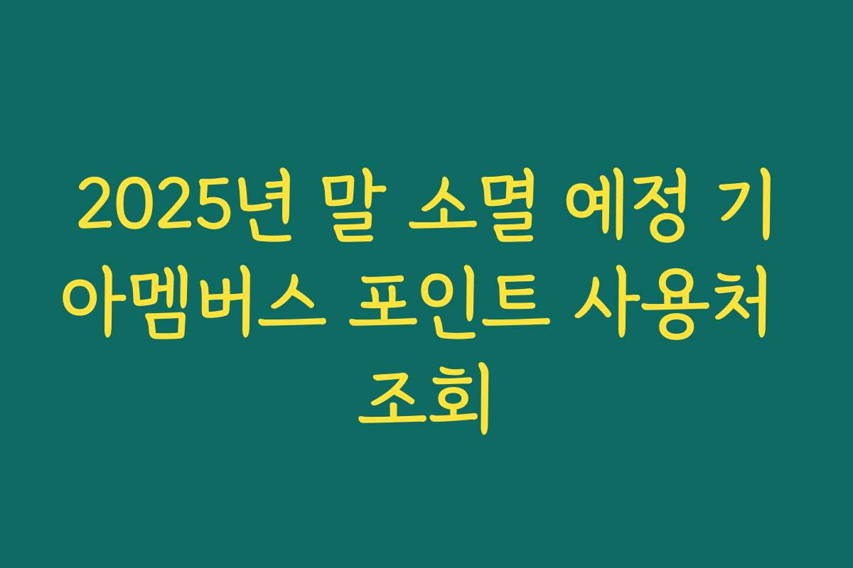 2025년 말 소멸 예정 기아멤버스 포인트 사용처 조회