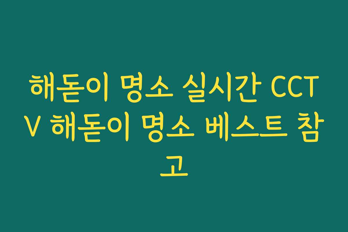 해돋이 명소 실시간 CCTV 해돋이 명소 베스트 참고 해돋이 명소 실시간 CCTV 해돋이 명소 베스트 참고