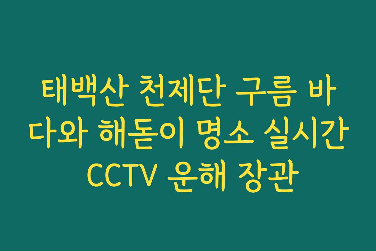 태백산 천제단 구름 바다와 해돋이 명소 실시간 CCTV 운해 장관 태백산 천제단 구름 바다와 해돋이 명소 실시간 CCTV 운해 장관