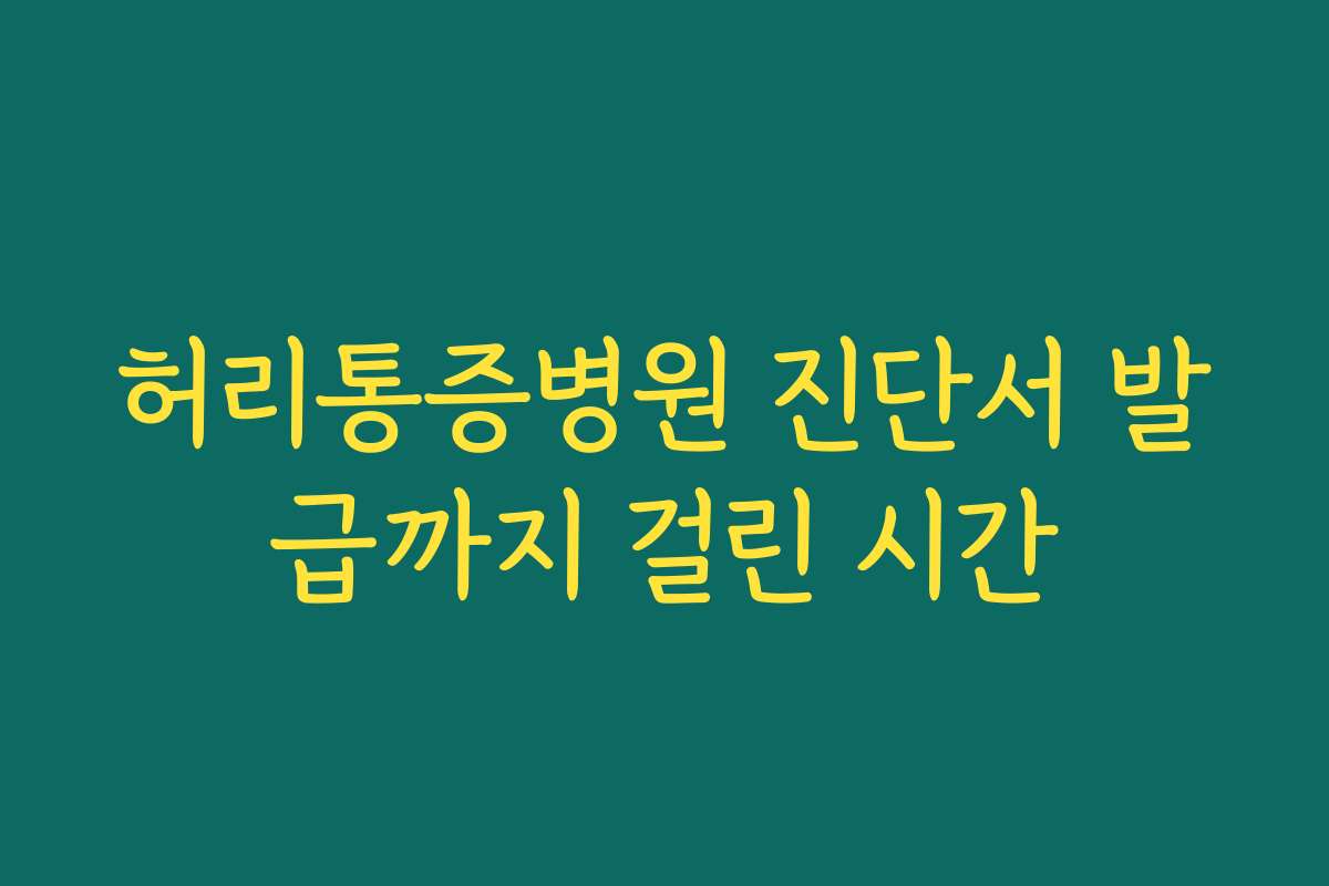 허리통증병원 진단서 발급까지 걸린 시간