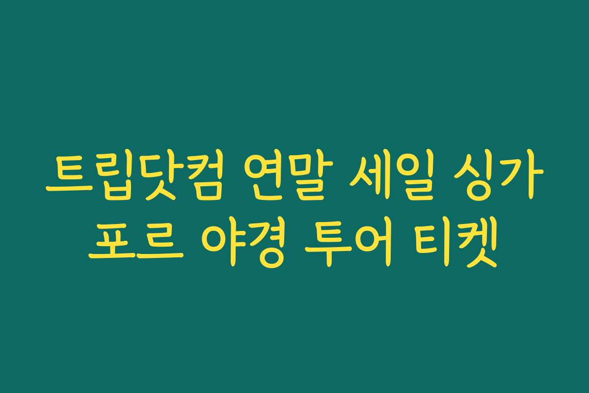 트립닷컴 연말 세일 싱가포르 야경 투어 티켓