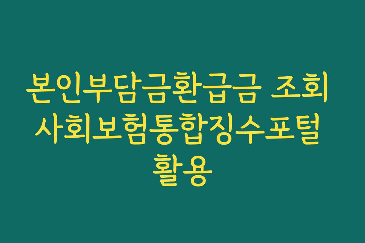 본인부담금환급금 조회 사회보험통합징수포털 활용 본인부담금환급금 조회 사회보험통합징수포털 활용
