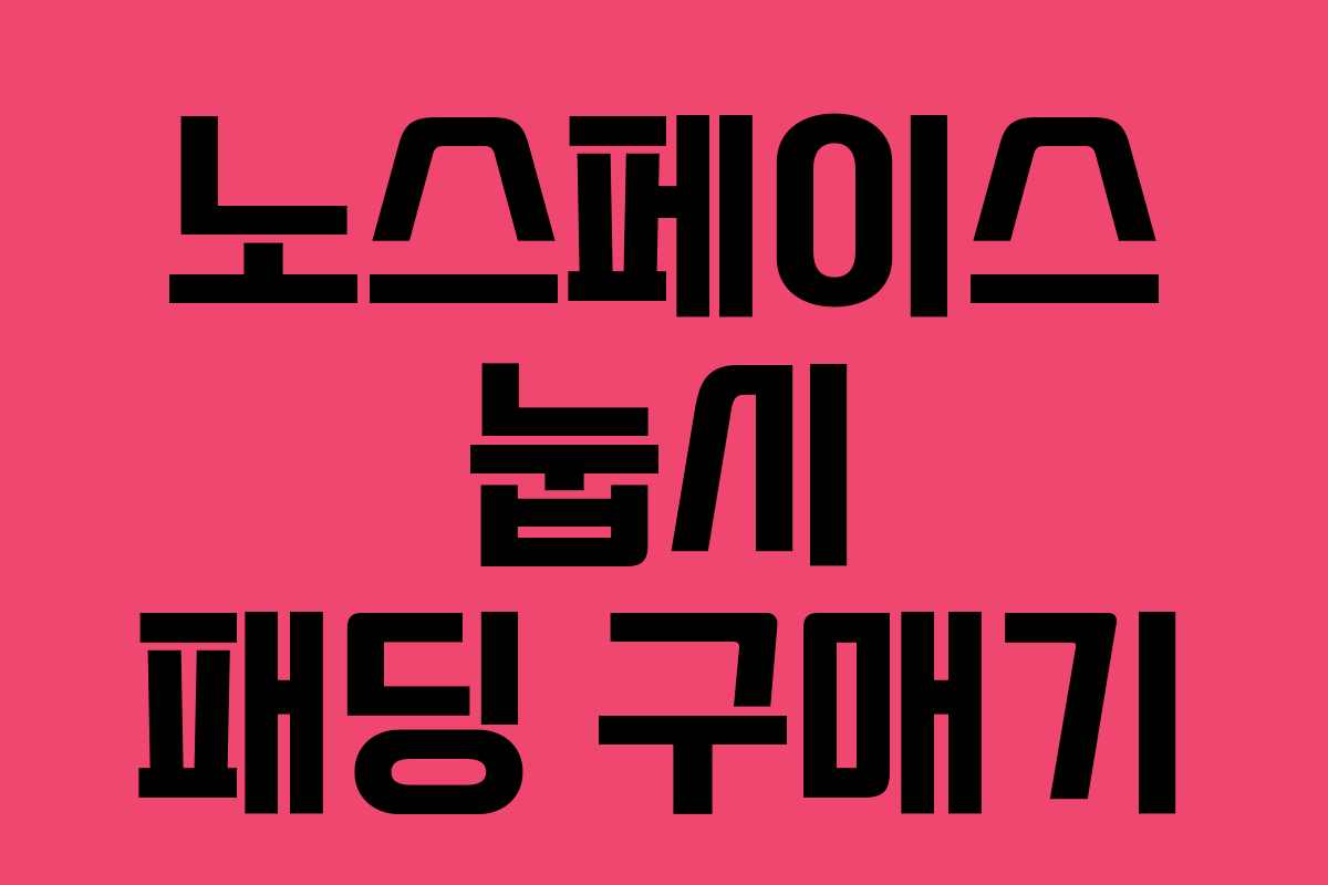 노스페이스 눕시 패딩 구매기