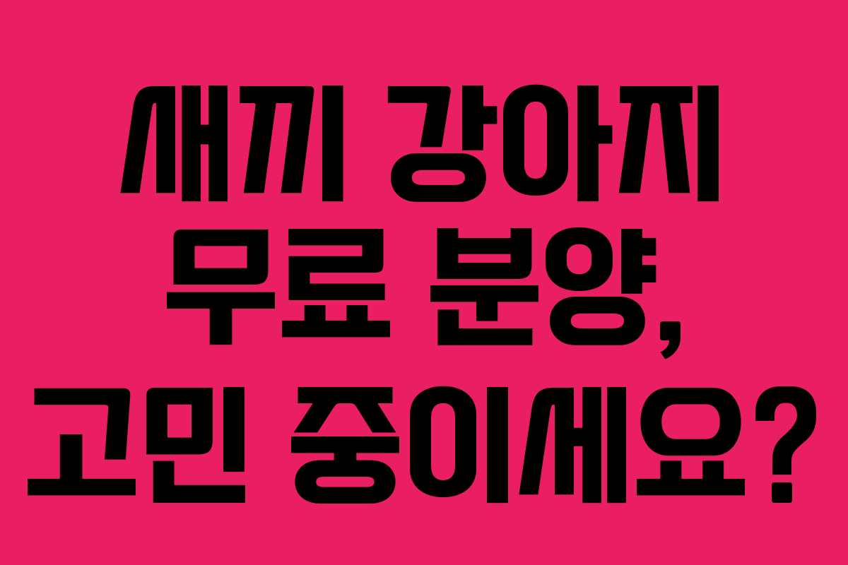 새끼 강아지 무료 분양, 고민 중이세요? 새끼 강아지 무료 분양, 고민 중이세요?
