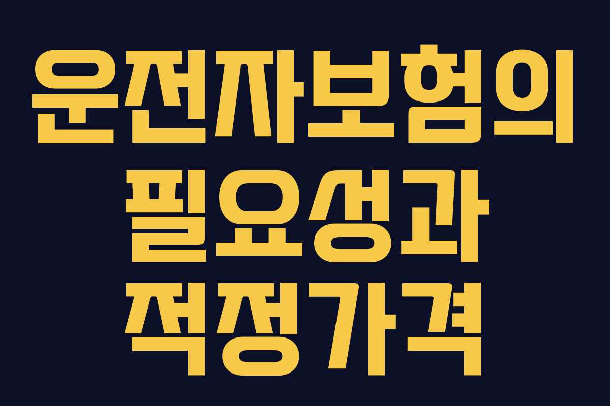 운전자보험의 필요성과 적정가격 운전자보험의 필요성과 적정가격