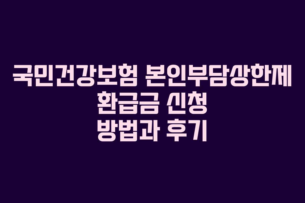 국민건강보험 본인부담상한제 환급금 신청 방법과 후기
