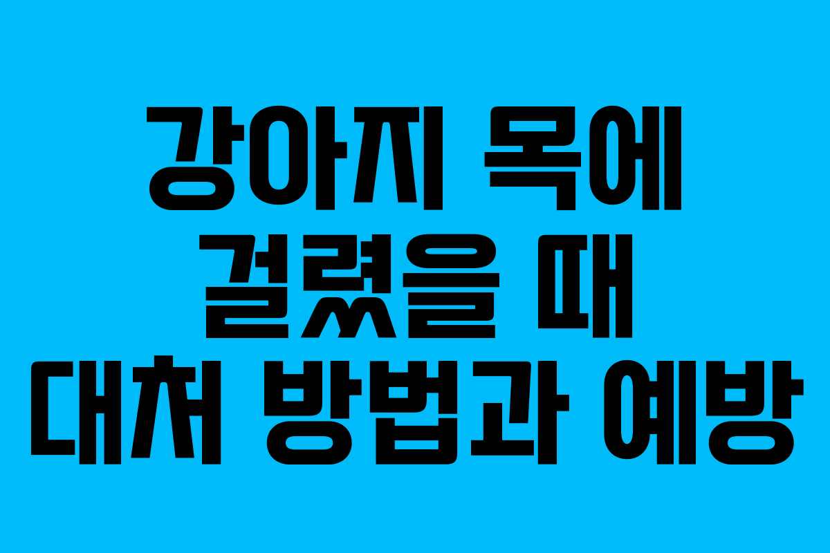 강아지 목에 걸렸을 때 대처 방법과 예방
