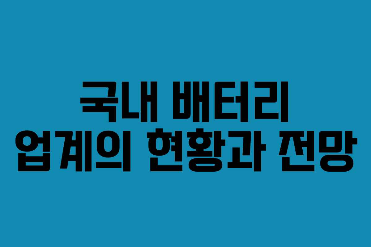 국내 배터리 업계의 현황과 전망 국내 배터리 업계의 현황과 전망