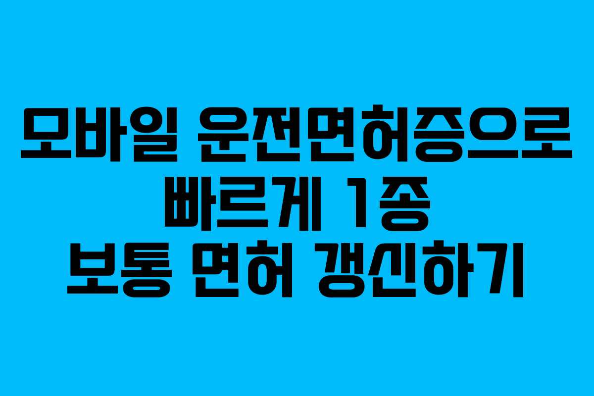 모바일 운전면허증으로 빠르게 1종 보통 면허 갱신하기