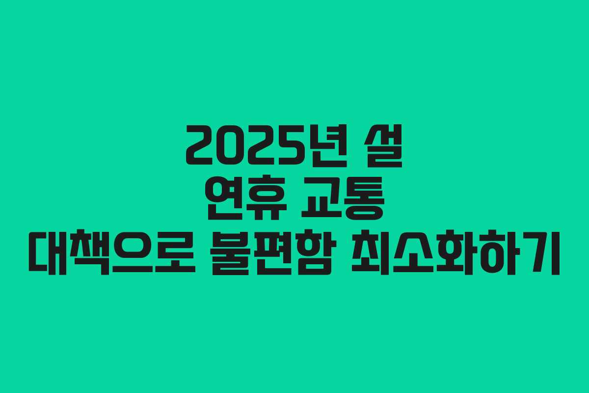 2025년 설 연휴 교통 대책으로 불편함 최소화하기