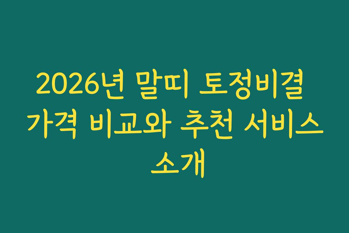 2026년 말띠 토정비결 가격 비교와 추천 서비스 소개
