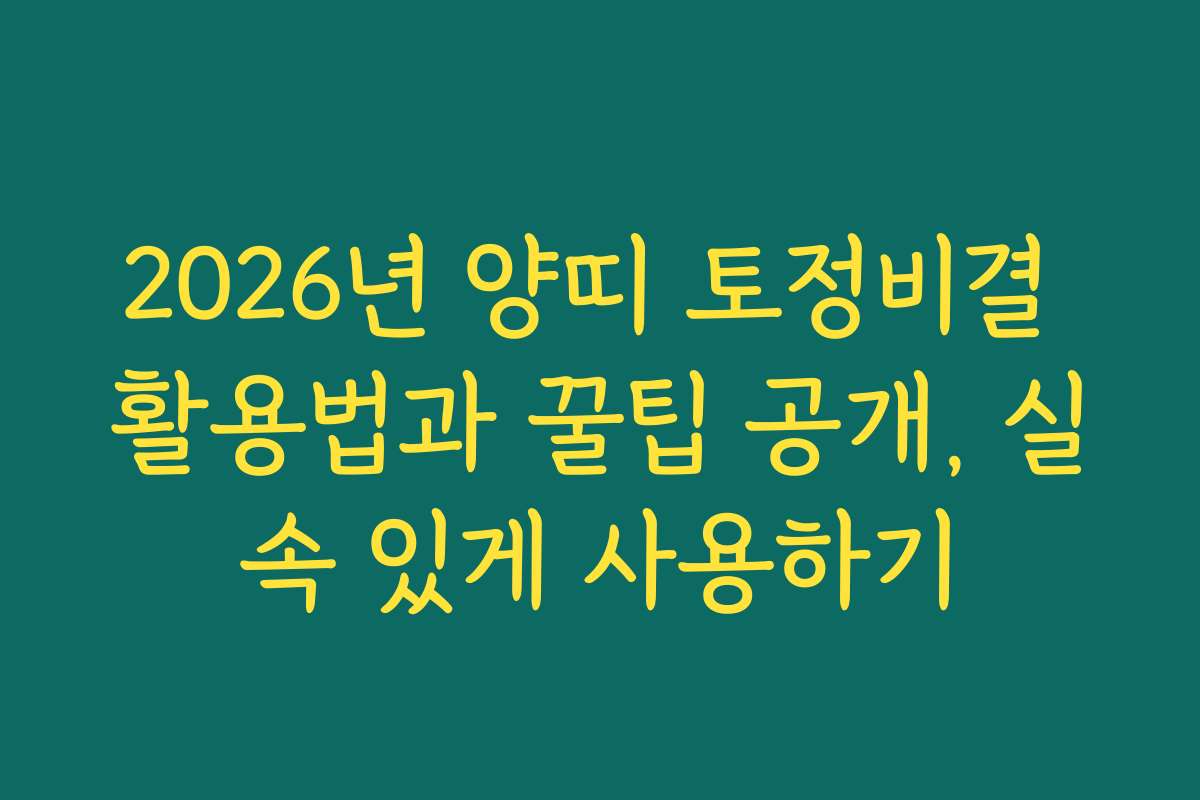 2026년 양띠 토정비결 활용법과 꿀팁 공개, 실속 있게 사용하기