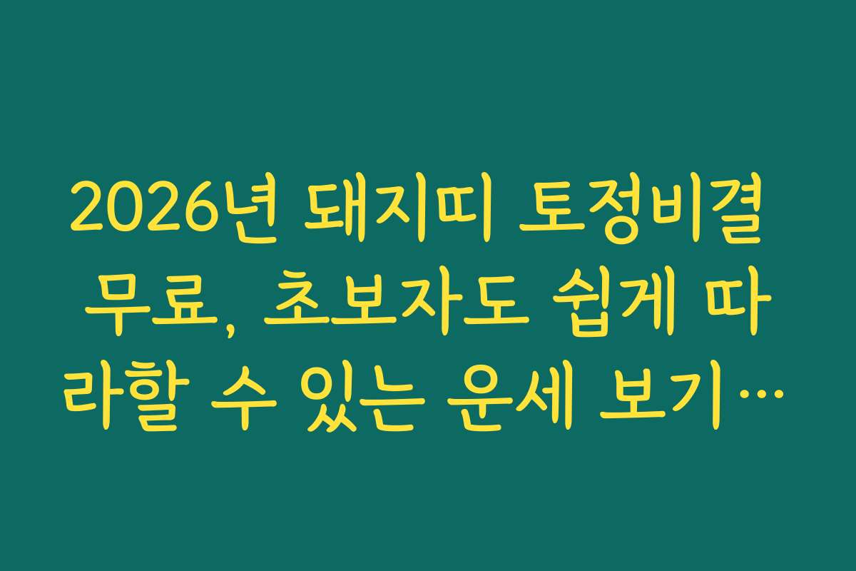 2026년 돼지띠 토정비결 무료, 초보자도 쉽게 따라할 수 있는 운세 보기 방법