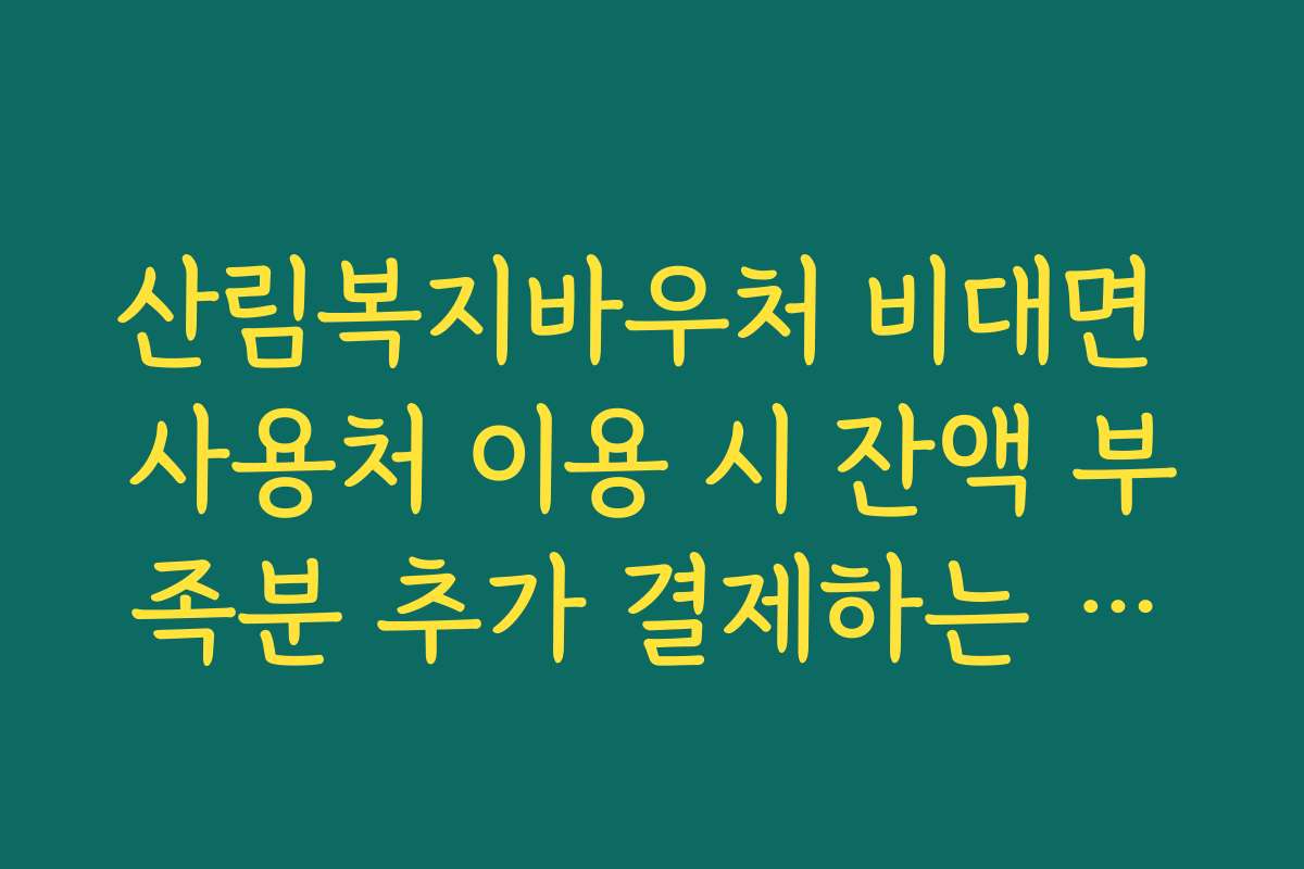 산림복지바우처 비대면 사용처 이용 시 잔액 부족분 추가 결제하는 수단