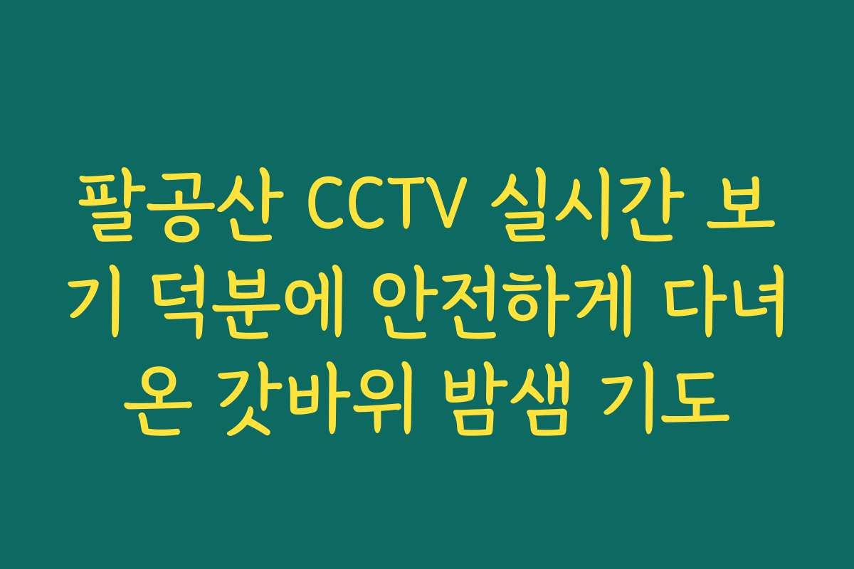 팔공산 CCTV 실시간 보기 덕분에 안전하게 다녀온 갓바위 밤샘 기도