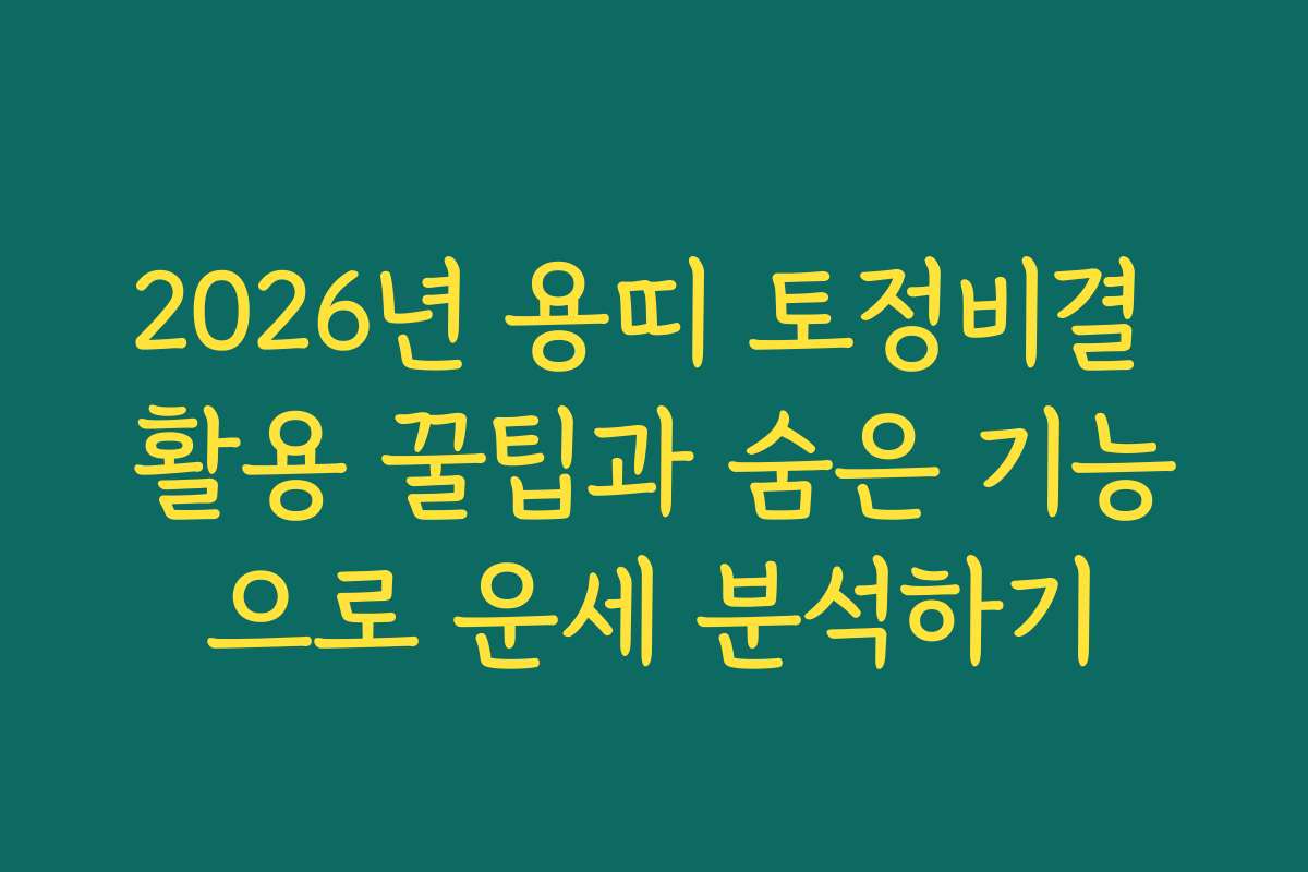 2026년 용띠 토정비결 활용 꿀팁과 숨은 기능으로 운세 분석하기