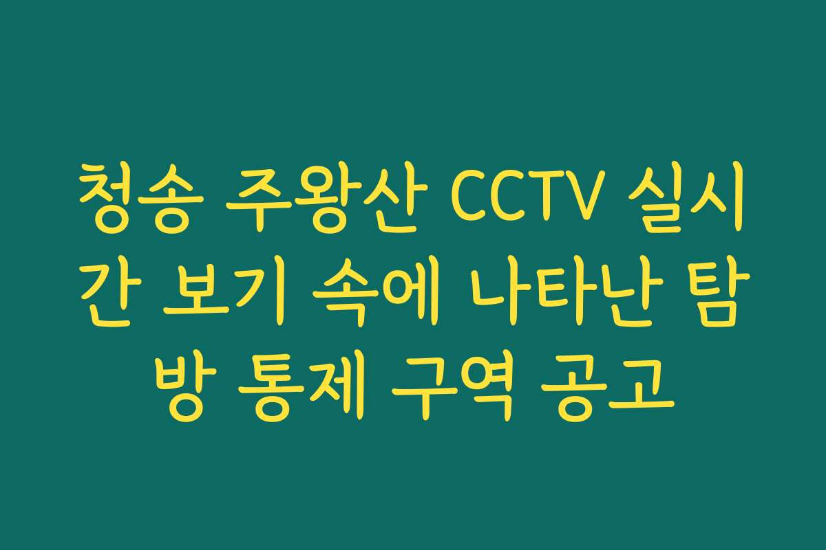청송 주왕산 CCTV 실시간 보기 속에 나타난 탐방 통제 구역 공고