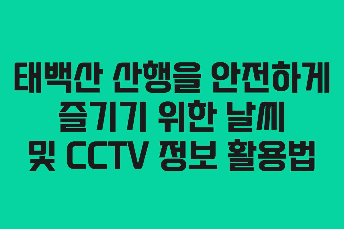 태백산 산행을 안전하게 즐기기 위한 날씨 및 CCTV 정보 활용법