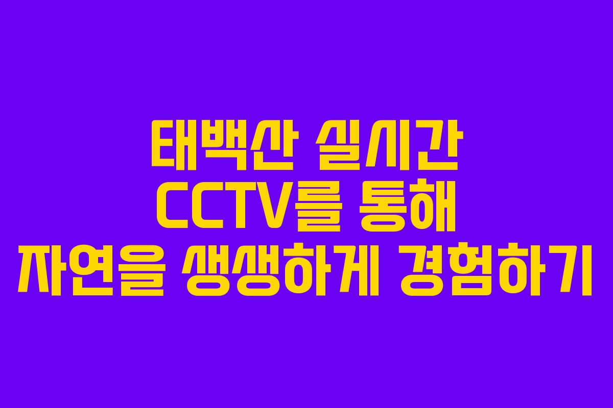 태백산 실시간 CCTV를 통해 자연을 생생하게 경험하기