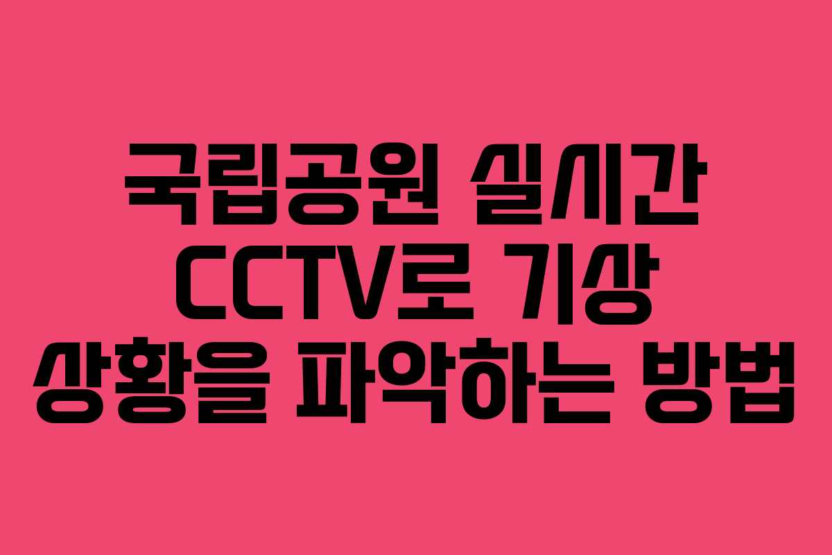 국립공원 실시간 CCTV로 기상 상황을 파악하는 방법