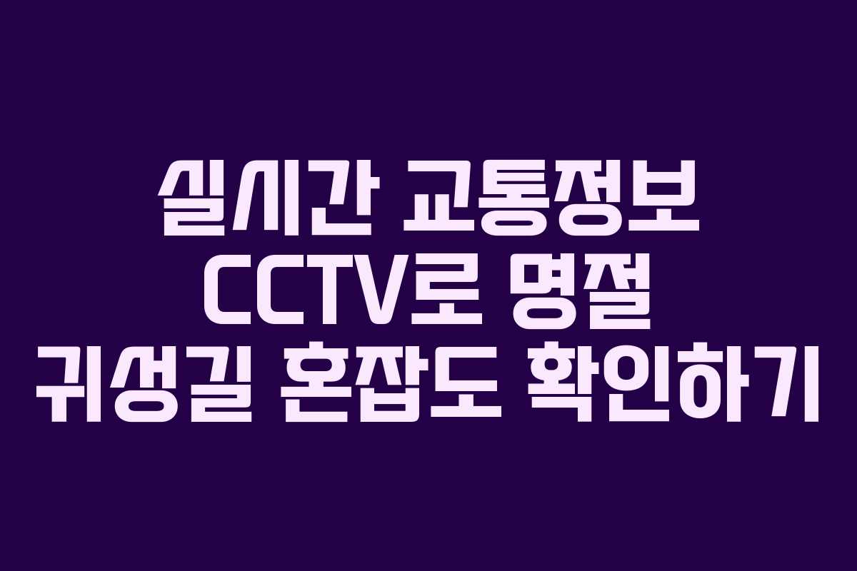 실시간 교통정보 CCTV로 명절 귀성길 혼잡도 확인하기