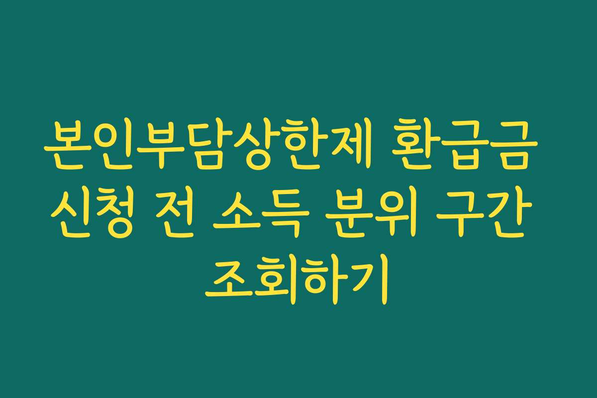 본인부담상한제 환급금 신청 전 소득 분위 구간 조회하기