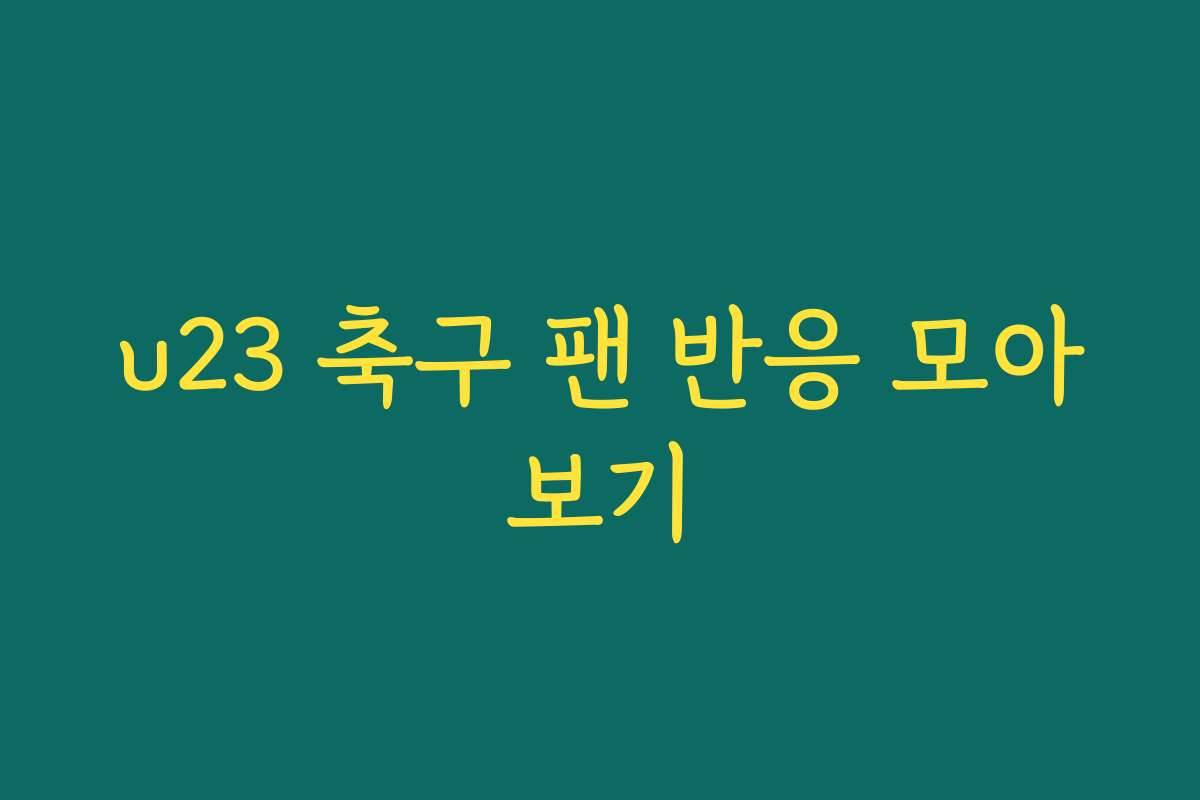 u23 축구 팬 반응 모아보기