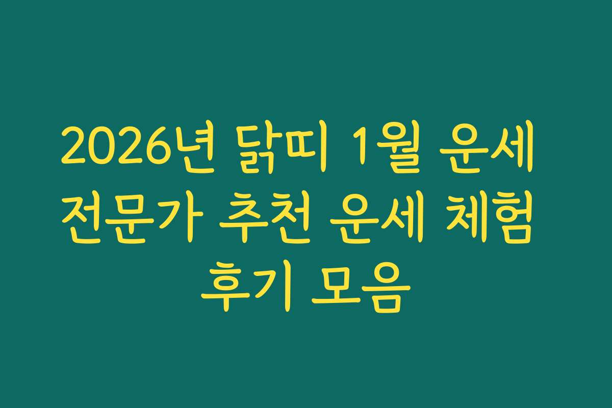 2026년 닭띠 1월 운세 전문가 추천 운세 체험 후기 모음