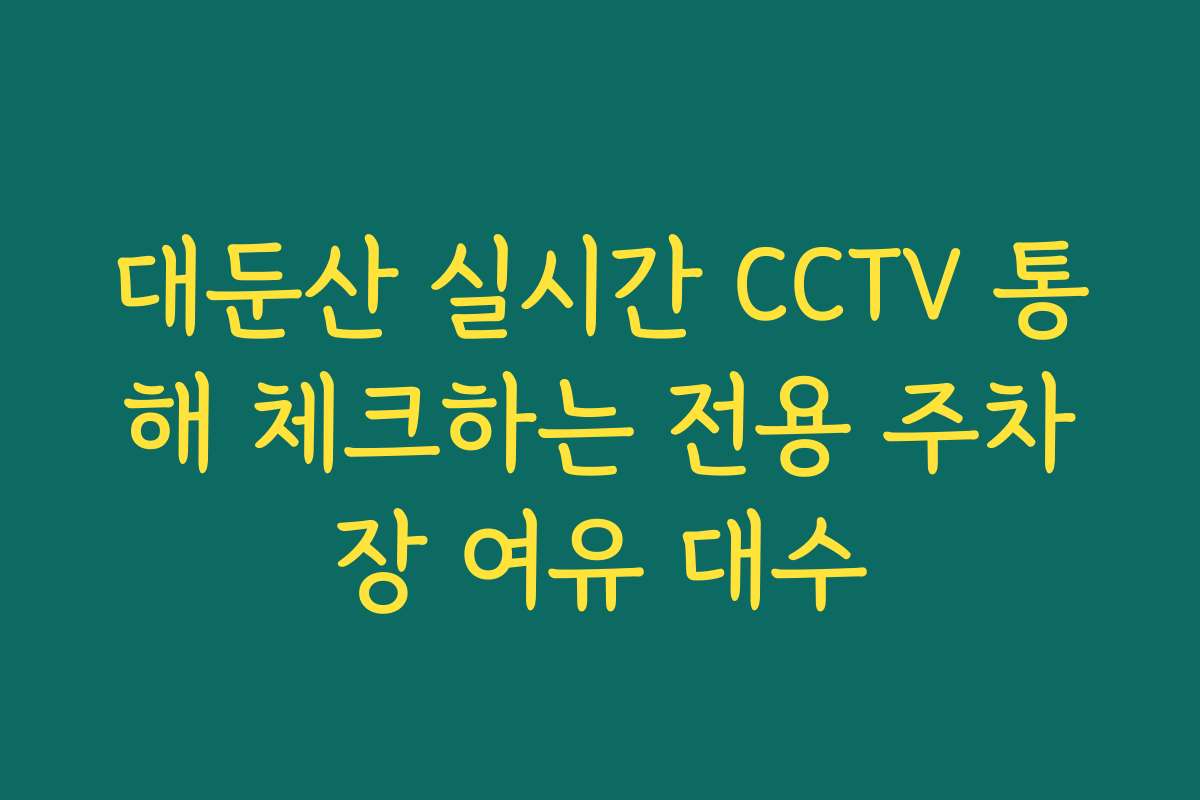 대둔산 실시간 CCTV 통해 체크하는 전용 주차장 여유 대수
