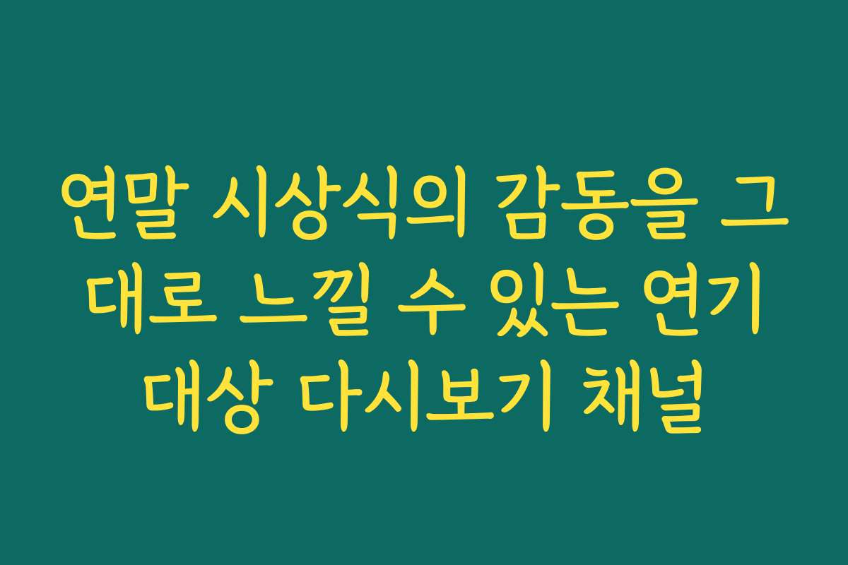 연말 시상식의 감동을 그대로 느낄 수 있는 연기대상 다시보기 채널 연말 시상식의 감동을 그대로 느낄 수 있는 연기대상 다시보기 채널