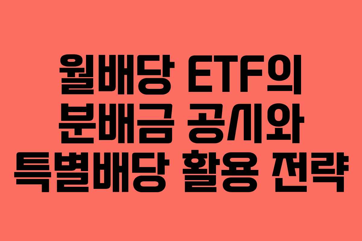 월배당 ETF의 분배금 공시와 특별배당 활용 전략 월배당 ETF의 분배금 공시와 특별배당 활용 전략