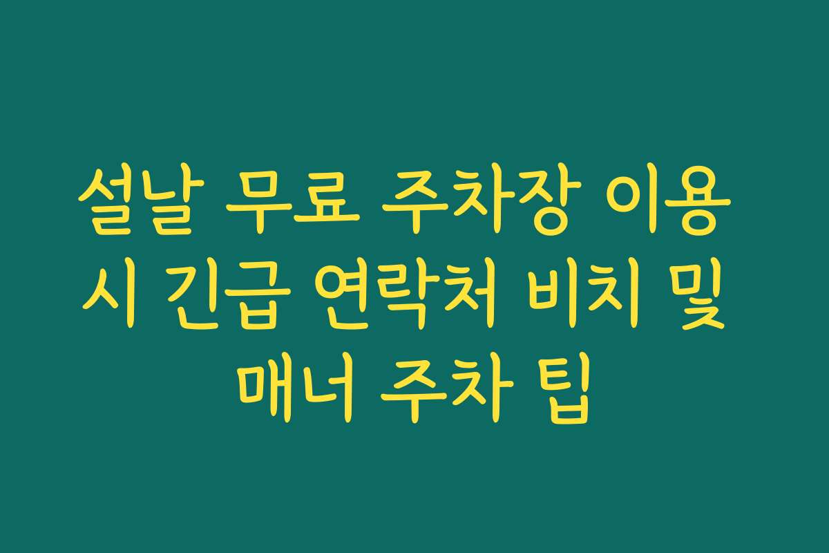 설날 무료 주차장 이용 시 긴급 연락처 비치 및 매너 주차 팁