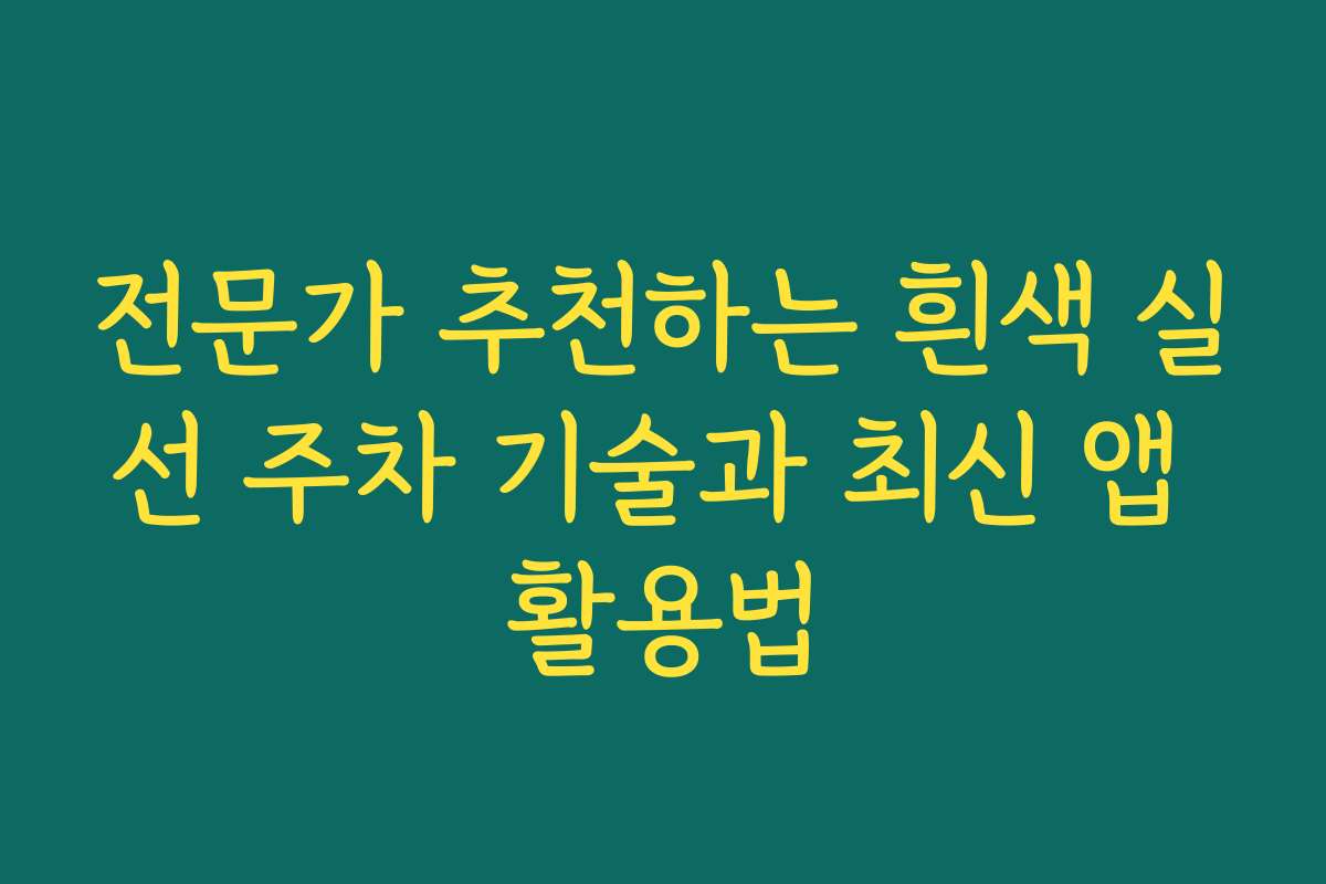 전문가 추천하는 흰색 실선 주차 기술과 최신 앱 활용법