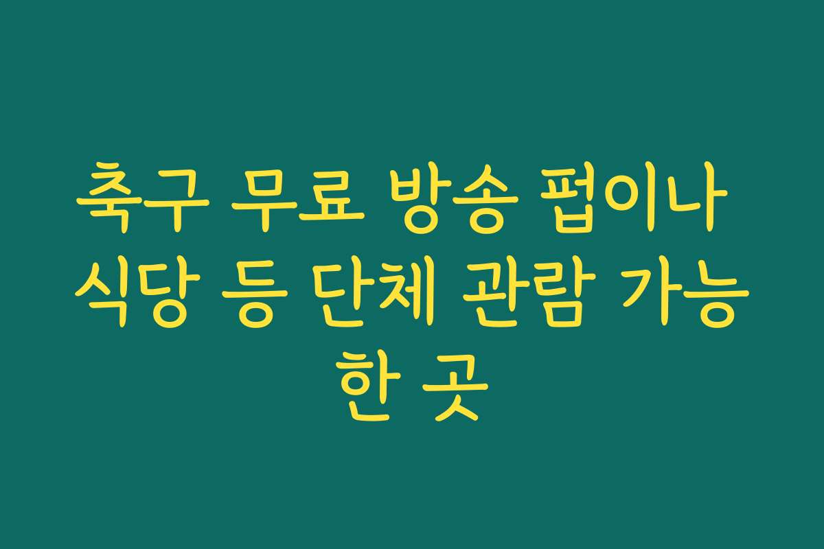 축구 무료 방송 펍이나 식당 등 단체 관람 가능한 곳