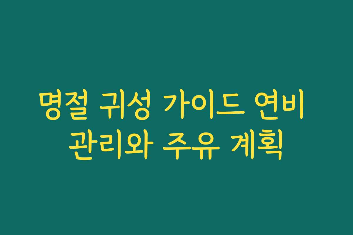 명절 귀성 가이드 연비 관리와 주유 계획