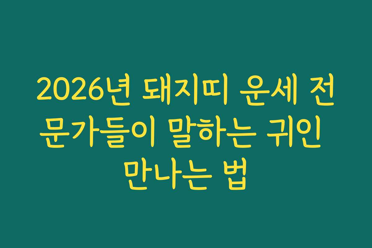 2026년 돼지띠 운세 전문가들이 말하는 귀인 만나는 법