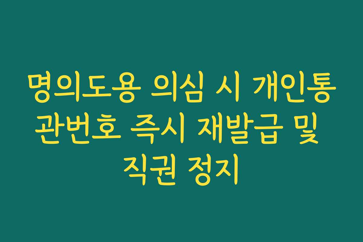 명의도용 의심 시 개인통관번호 즉시 재발급 및 직권 정지