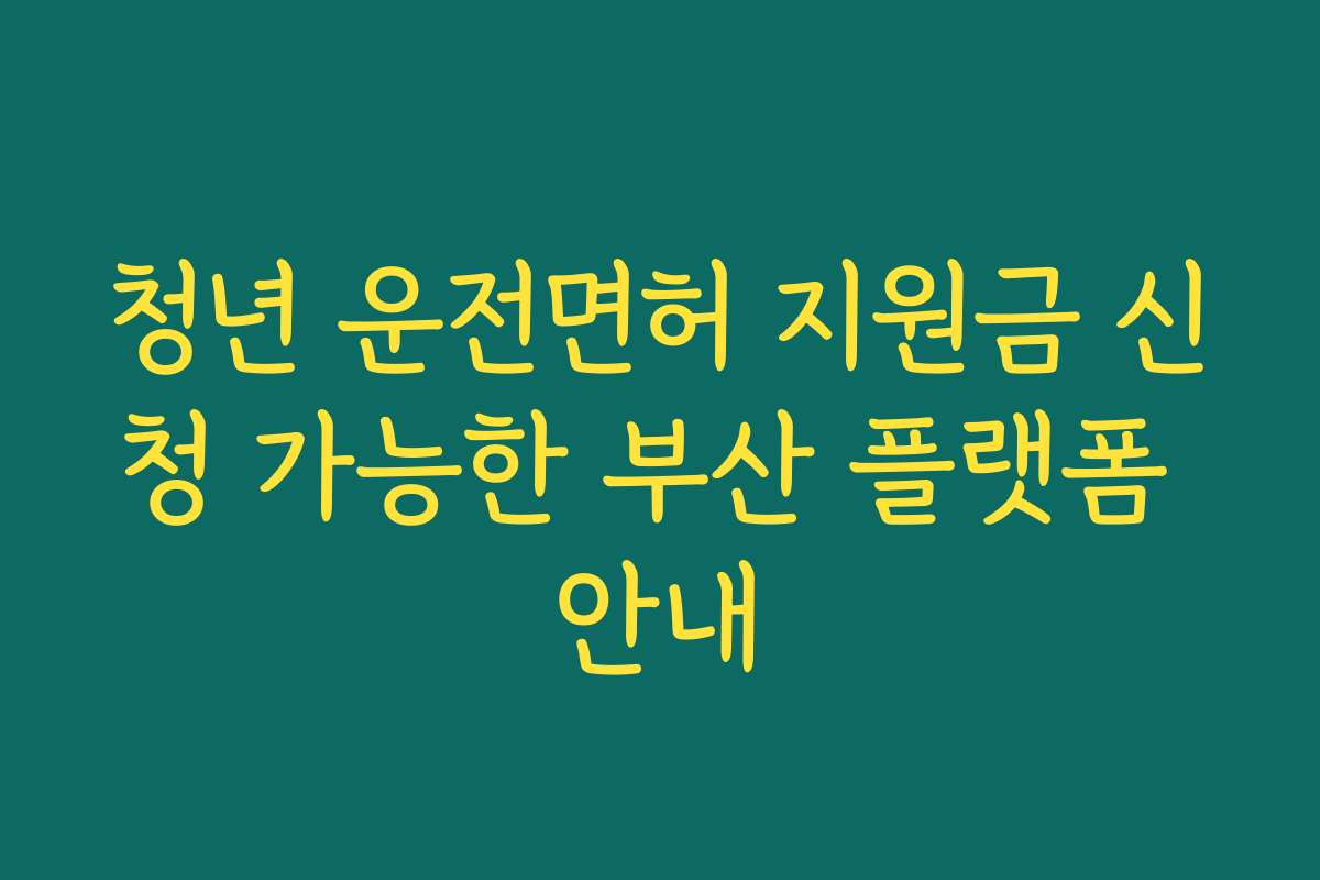 청년 운전면허 지원금 신청 가능한 부산 플랫폼 안내
