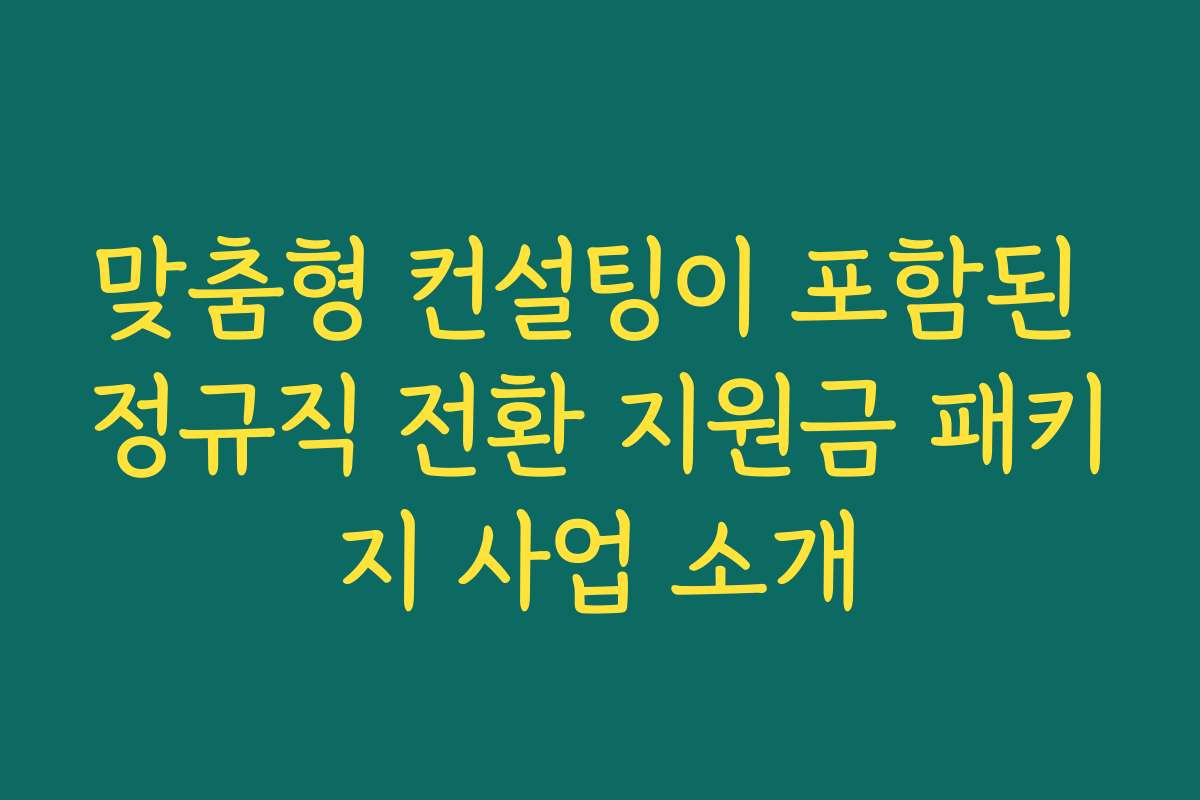맞춤형 컨설팅이 포함된 정규직 전환 지원금 패키지 사업 소개 맞춤형 컨설팅이 포함된 정규직 전환 지원금 패키지 사업 소개