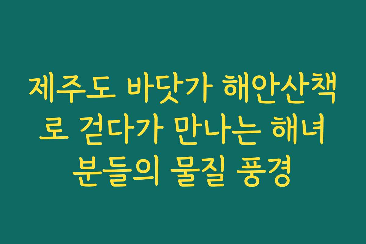 제주도 바닷가 해안산책로 걷다가 만나는 해녀분들의 물질 풍경 제주도 바닷가 해안산책로 걷다가 만나는 해녀분들의 물질 풍경
