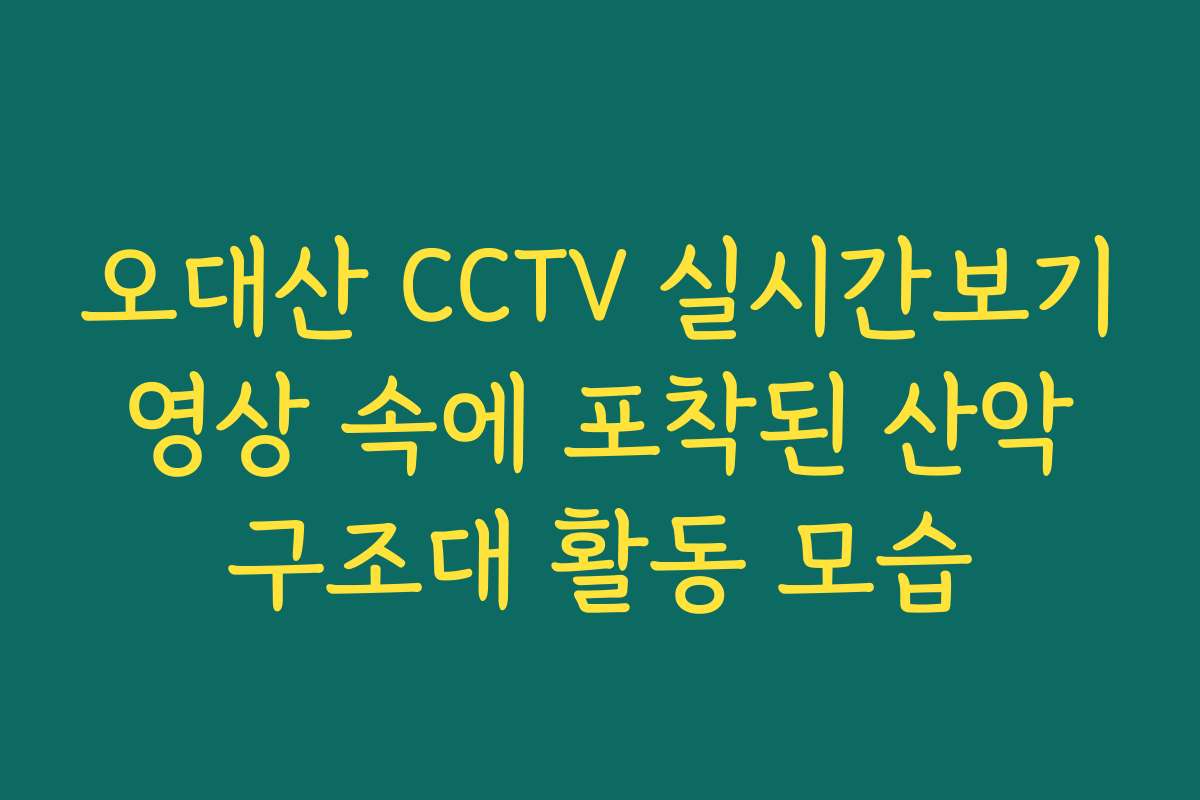 오대산 CCTV 실시간보기 영상 속에 포착된 산악 구조대 활동 모습