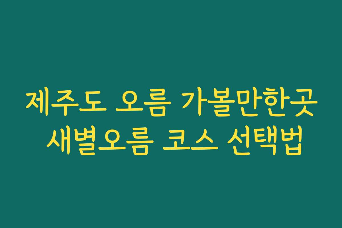 제주도 오름 가볼만한곳 새별오름 코스 선택법 제주도 오름 가볼만한곳 새별오름 코스 선택법