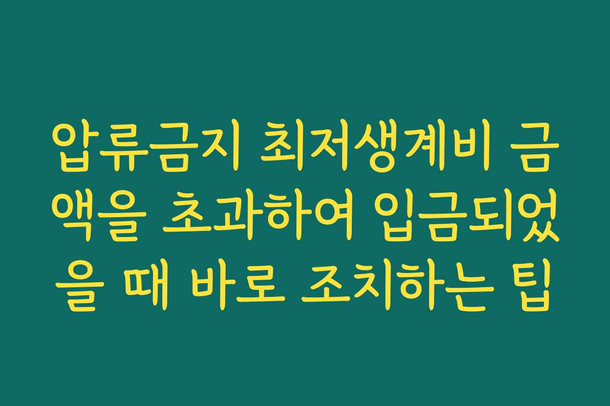 압류금지 최저생계비 금액을 초과하여 입금되었을 때 바로 조치하는 팁