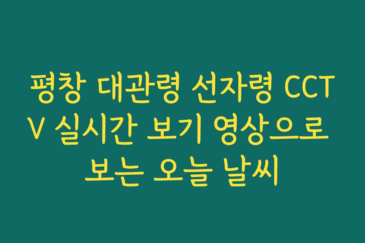 평창 대관령 선자령 CCTV 실시간 보기 영상으로 보는 오늘 날씨