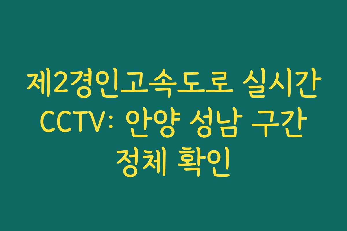 제2경인고속도로 실시간 CCTV: 안양 성남 구간 정체 확인 제2경인고속도로 실시간 CCTV: 안양 성남 구간 정체 확인