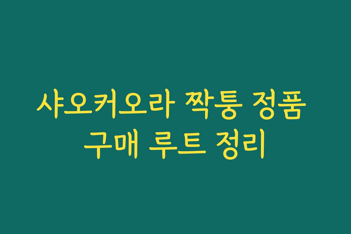 샤오커오라 짝퉁 정품 구매 루트 정리 샤오커오라 짝퉁 정품 구매 루트 정리