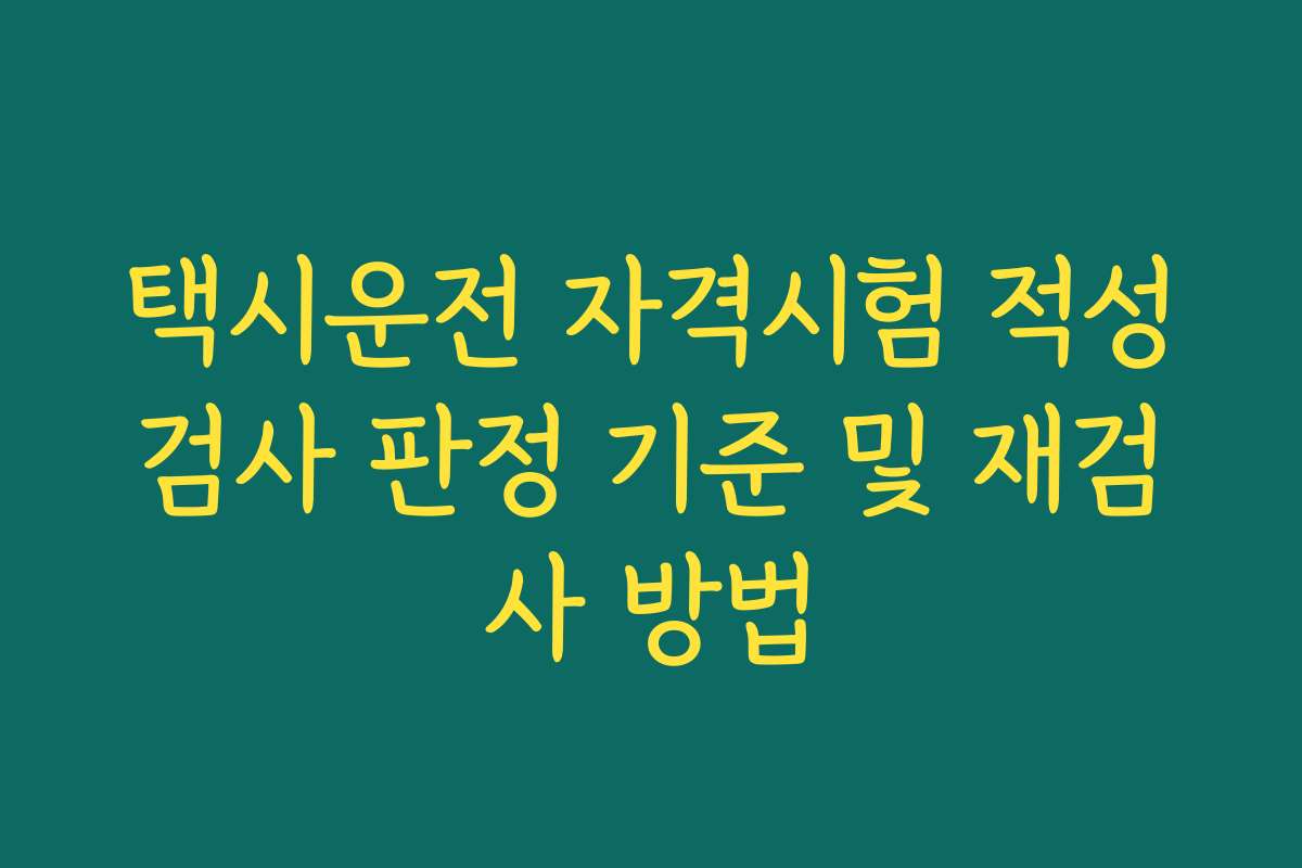 택시운전 자격시험 적성검사 판정 기준 및 재검사 방법 택시운전 자격시험 적성검사 판정 기준 및 재검사 방법