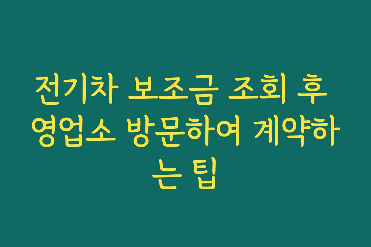 전기차 보조금 조회 후 영업소 방문하여 계약하는 팁 전기차 보조금 조회 후 영업소 방문하여 계약하는 팁